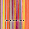 decoratif fly screens